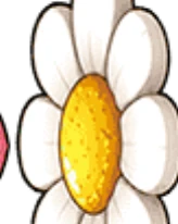 Margarida branca de miolo amarelo.