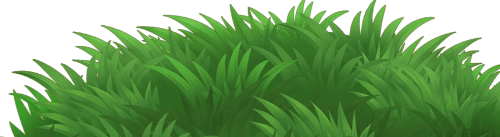 Tufo de relva verde alta.